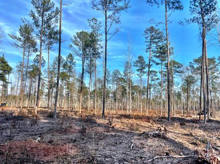 Property in Monroe County, Georgia