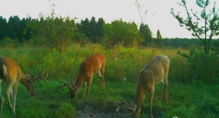 Property in Mason County, Michigan