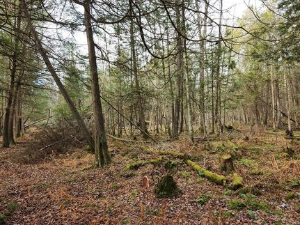 Property in Portage County, Wisconsin