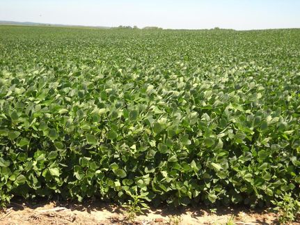 Property in Menard County, Illinois