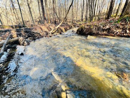 Property in Franklin County, Alabama