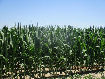 Property in Monroe County, Illinois