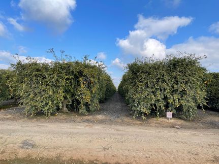 Property in Fresno County, California