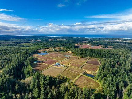 Property in Coos County, Oregon