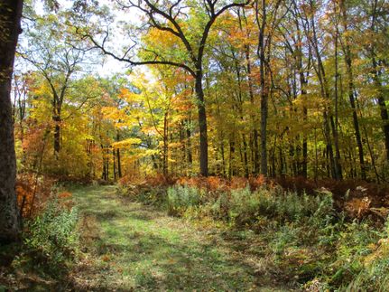 Property in Washburn County, Wisconsin
