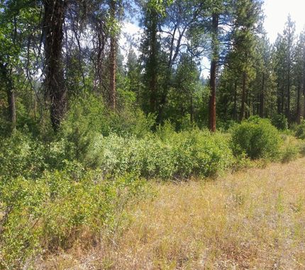 Property in Shasta County, California