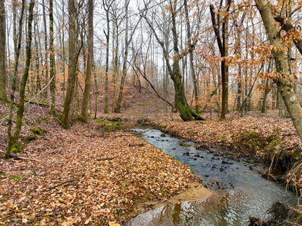 Property in Monroe County, Georgia