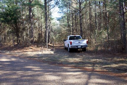 Property in Grant Parish, Louisiana