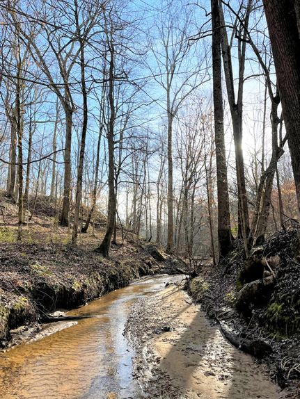 Property in Yazoo County, Mississippi