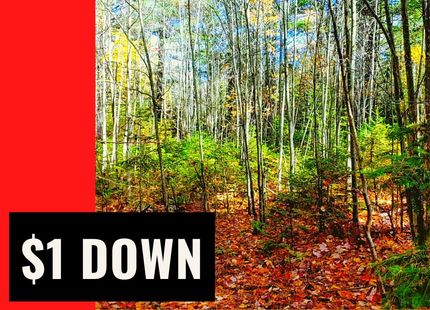 Property in Clinton County, New York