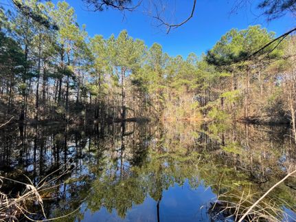 Property in Jefferson Davis County, Mississippi