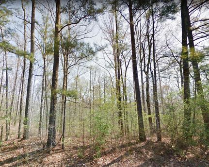 Property in Walker County, Alabama