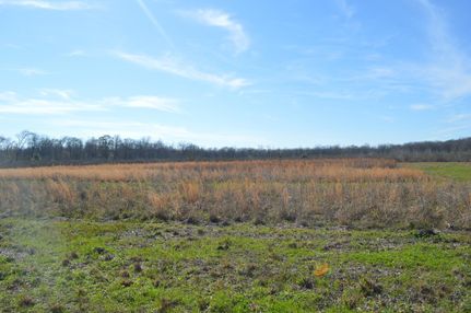 Property in Pointe Coupee Parish, Louisiana