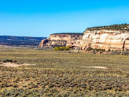 Property in Mesa County, Colorado