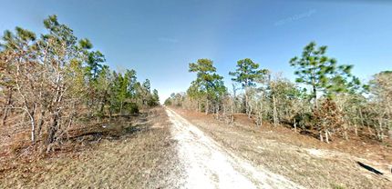 Property in Levy County, Florida