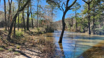 Property in Lee County, Georgia
