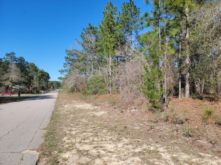 Property in Citrus County, Florida