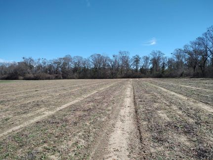 Property in Houston County, Alabama