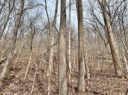 Property in Logan County, West Virginia