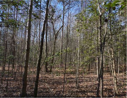 Property in Chester County, South Carolina