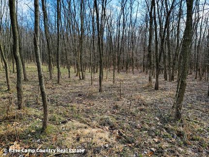 Property in Cass County, Illinois