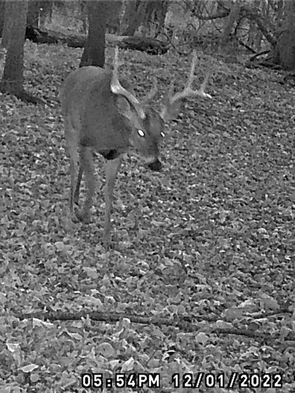 Property in Sangamon County, Illinois