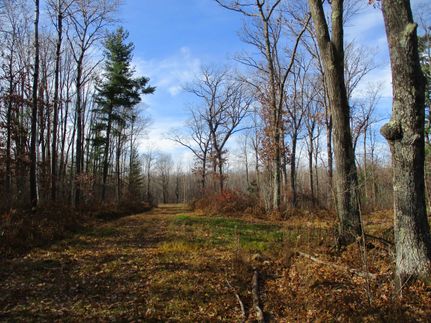 Property in Washburn County, Wisconsin