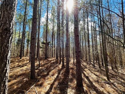 Property in Union County, Mississippi