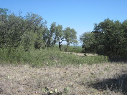 Property for sale in Callahan County, Texas