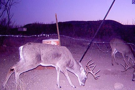 Property in Crockett County, Texas