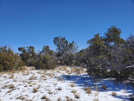 Property in Apache County, Arizona