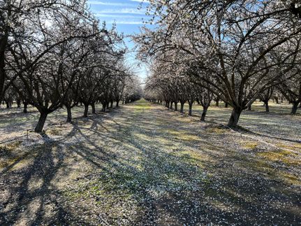 Property in Madera County, California