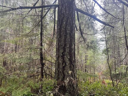 Property in Mason County, Washington