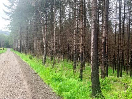 Property in Marion County, Oregon