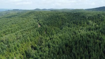 Property in Grays Harbor County, Washington