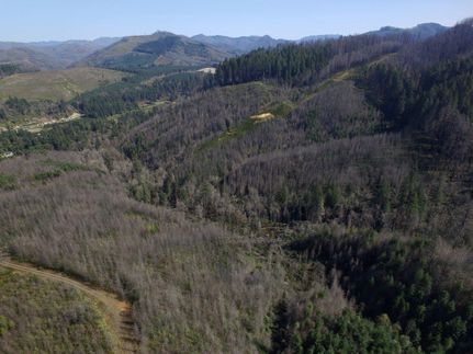 Property in Lane County, Oregon