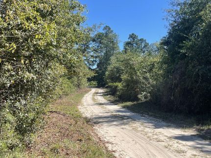 Property in Bamberg County, South Carolina