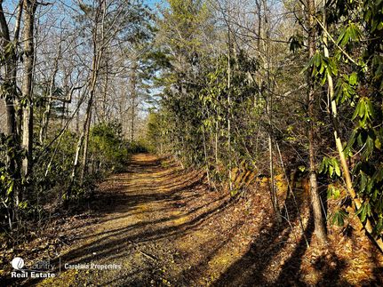 Property in Surry County, North Carolina