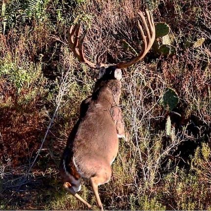 Property for sale in Zapata County, Texas