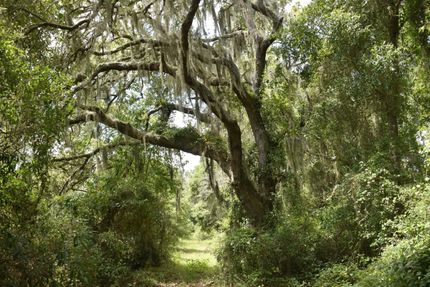 Property in Sumter County, Florida