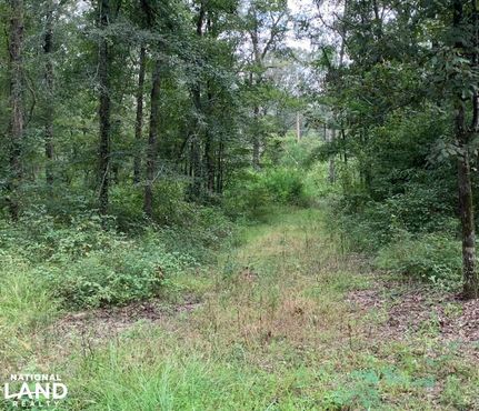 Property in Ouachita Parish, Louisiana