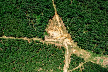 Property in Houston County, Georgia