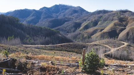 Property in Lane County, Oregon