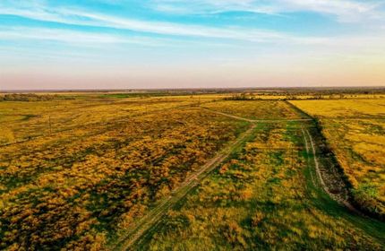 Property in Wilson County, Texas