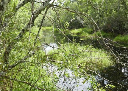 Property in Citrus County, Florida