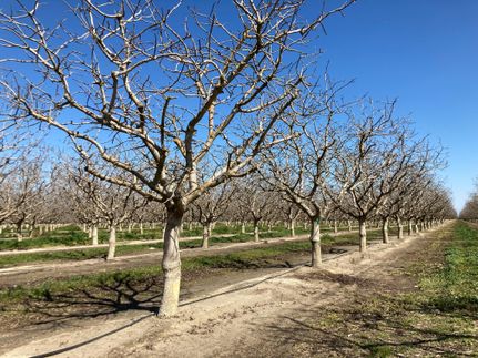 Property in Kern County, California