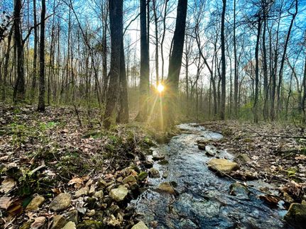 Property in Morgan County, Alabama