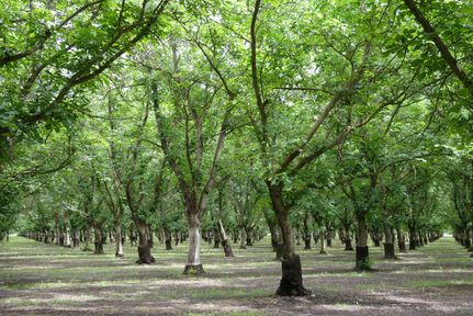 Property in Butte County, California