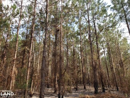 Property in Barbour County, Alabama