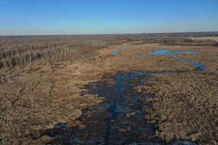 Property in Carlisle County, Kentucky